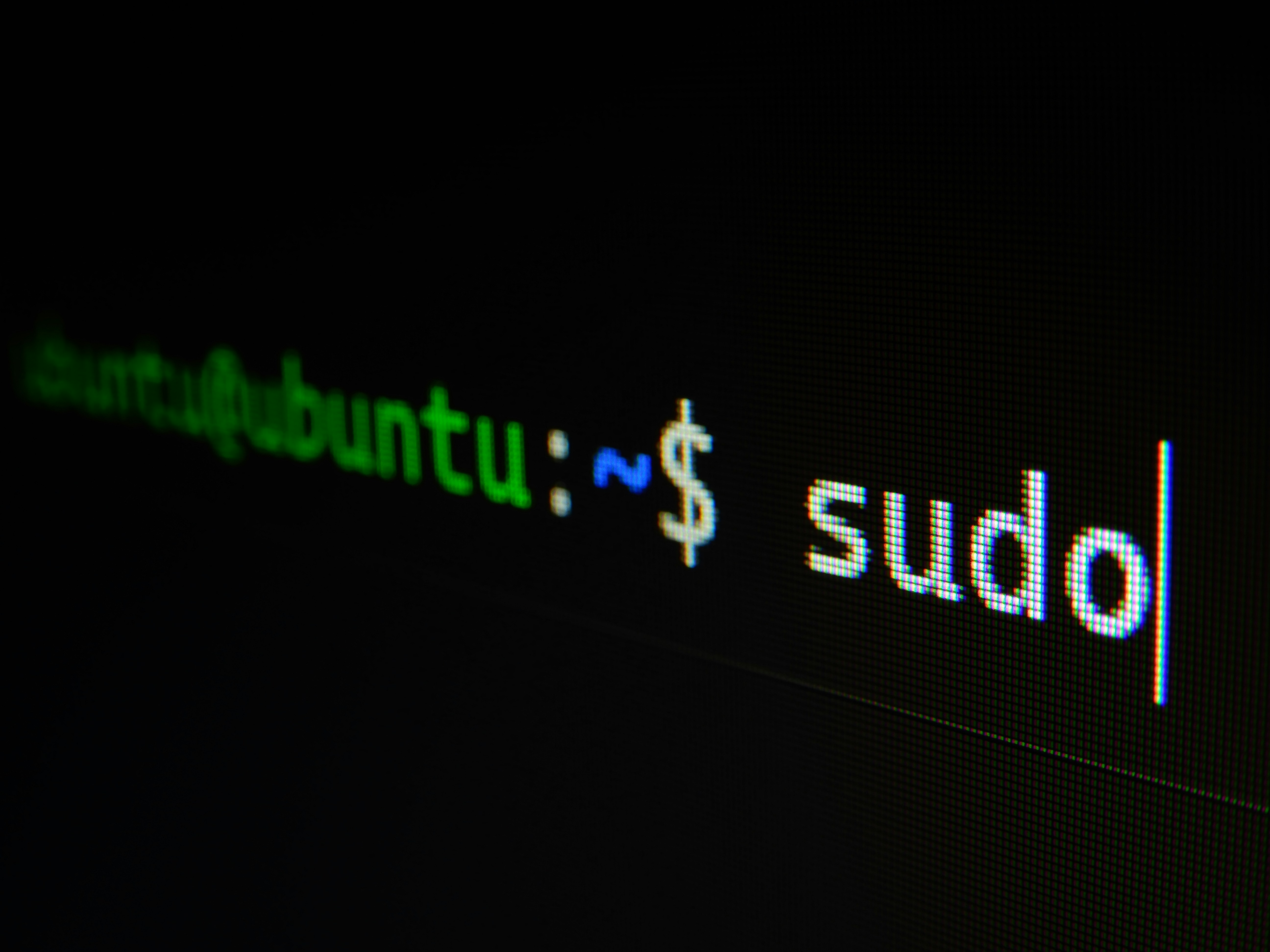 kali linux terminal