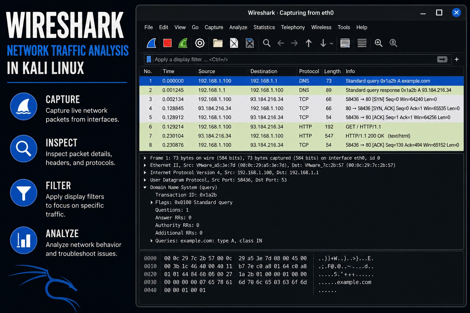 wireshark kali linux packet analysis